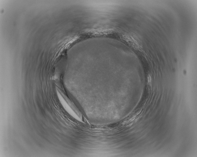 X0000059251300200511041323