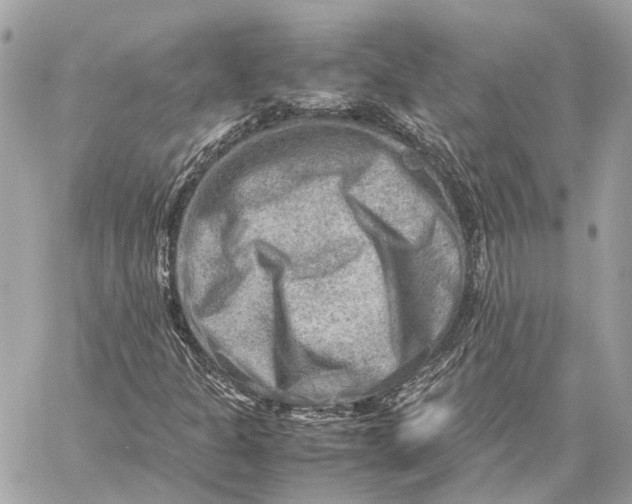 X0000059251301200511041323