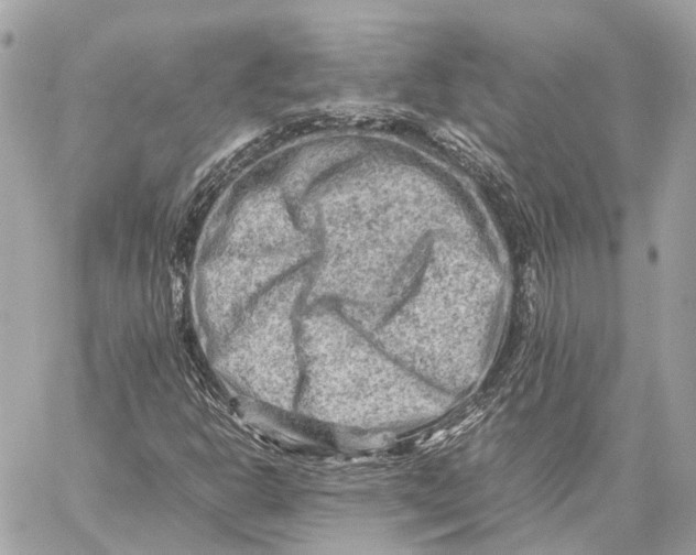 X0000059251302200511041323