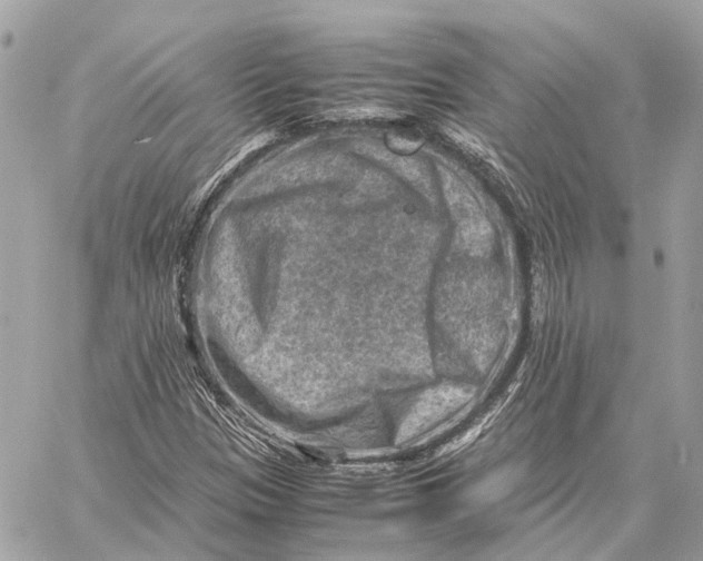 X0000059251305200511041323