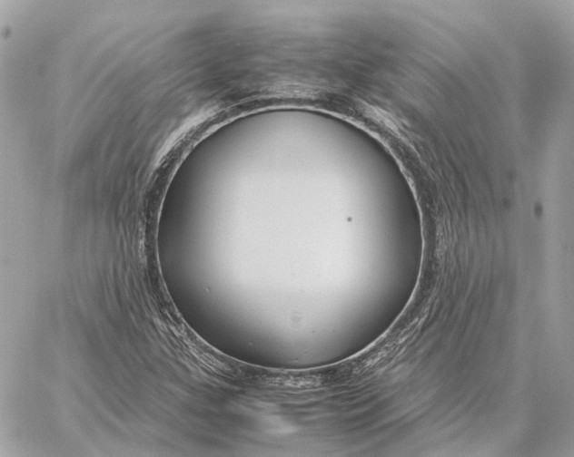 X0000059251307200511041323