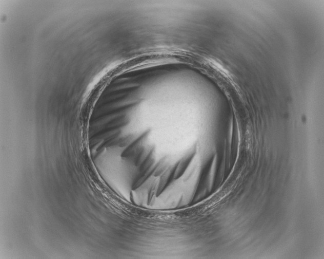 X0000059251310200511041323