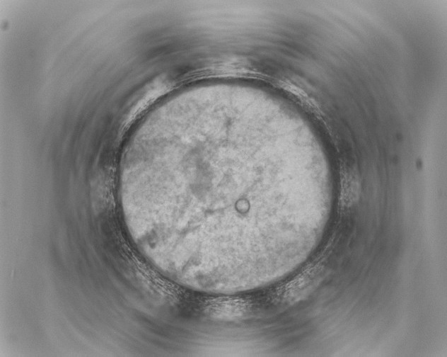 X0000059251314200511041323