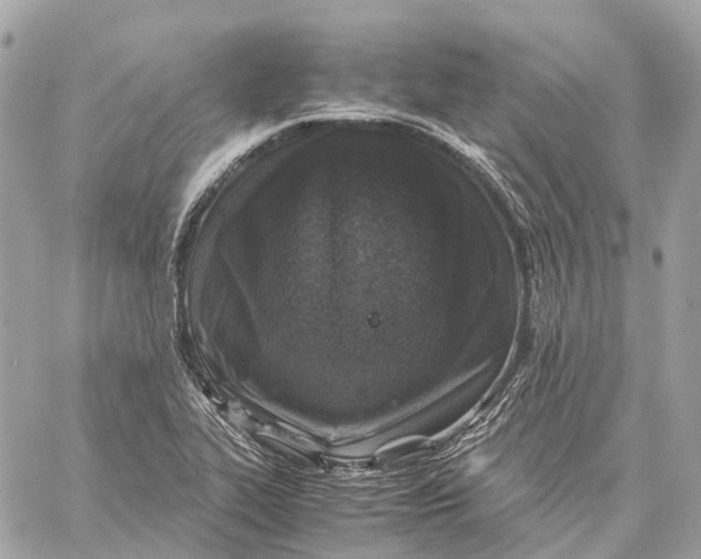 X0000059251319200511041323