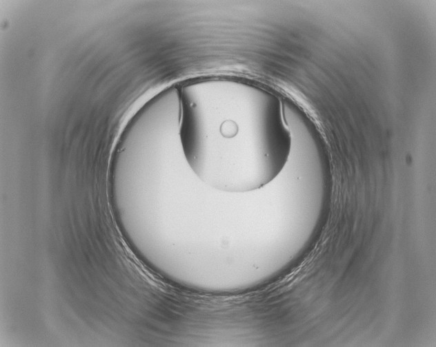 X0000059251324200511041323