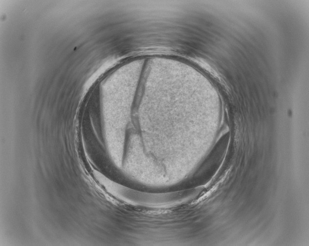 X0000059251325200511041324