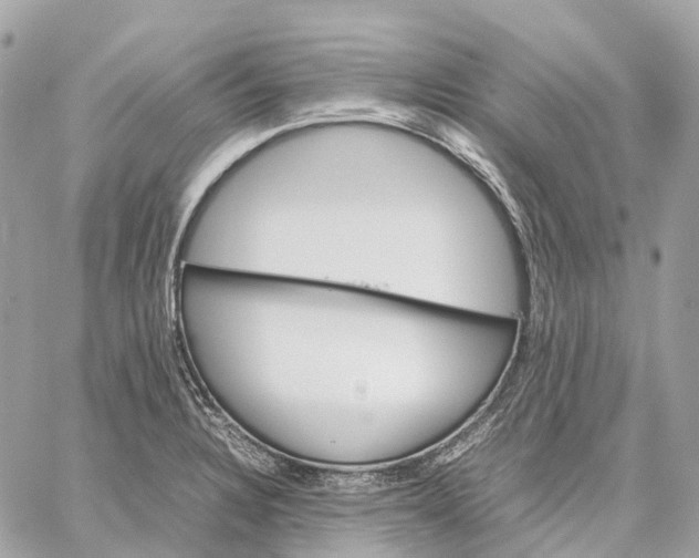 X0000059251328200511041324