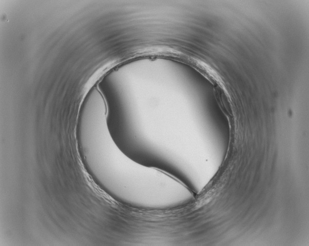 X0000059251330200511041324