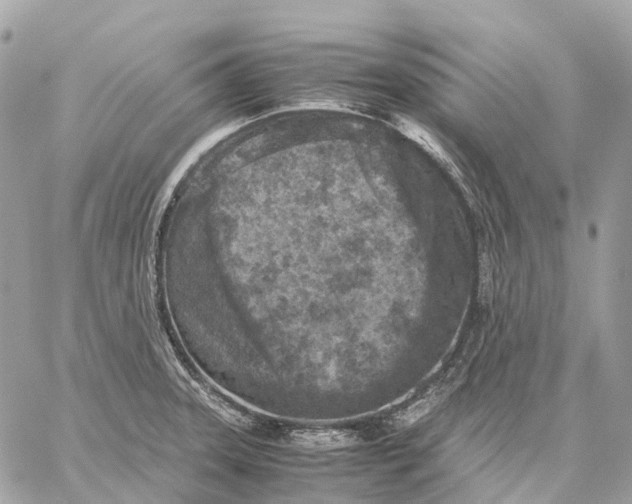 X0000059251331200511041324