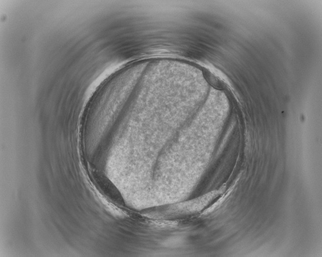 X0000059251333200511041324