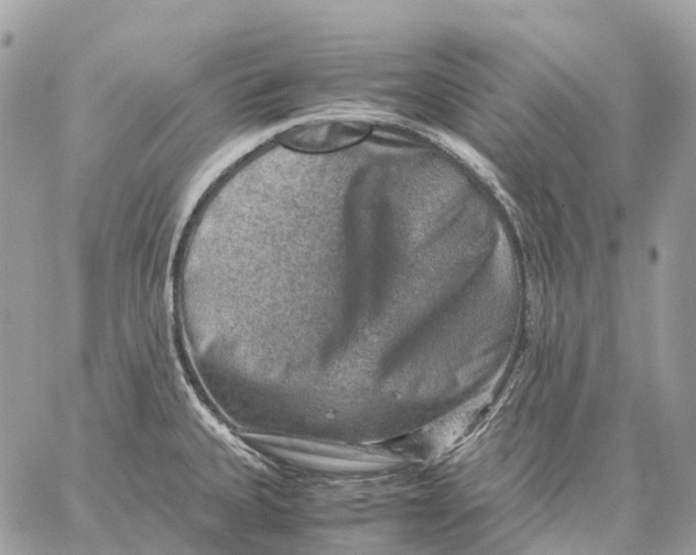 X0000059251335200511041324