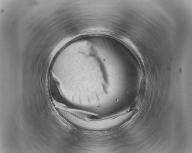 X0000059251336200511041324