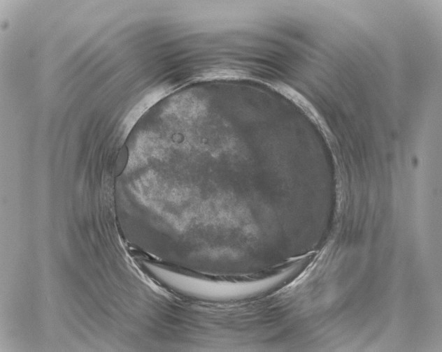 X0000059251337200511041324