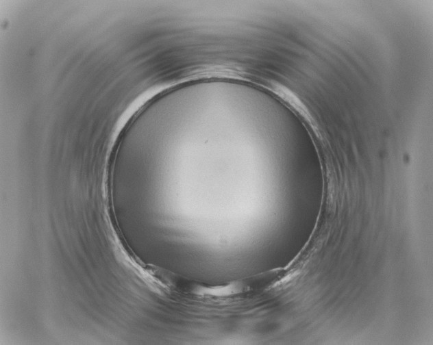 X0000059251339200511041324