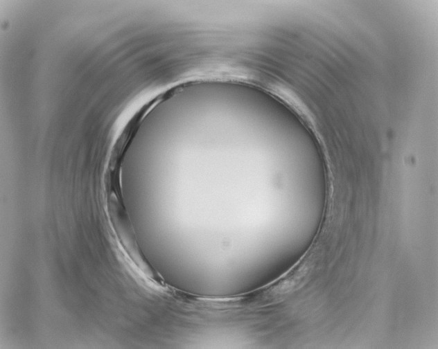 X0000059251344200511041324