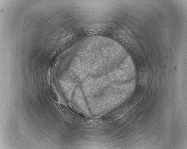 X0000059251346200511041323