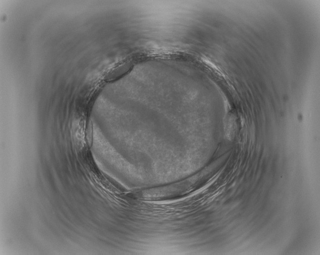 X0000059251348200511041323