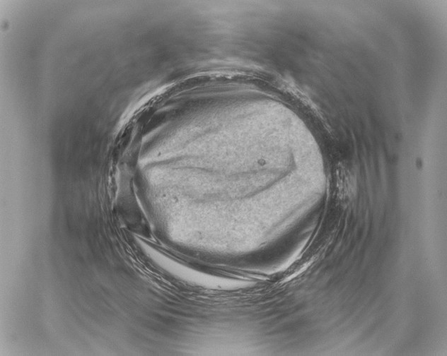 X0000059251352200511041323