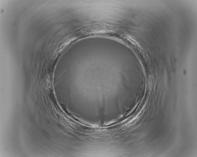 X0000059251353200511041323