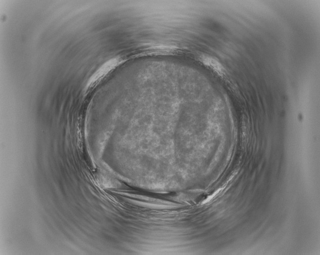 X0000059251354200511041323