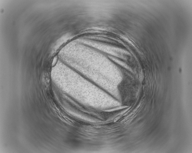 X0000059251355200511041323