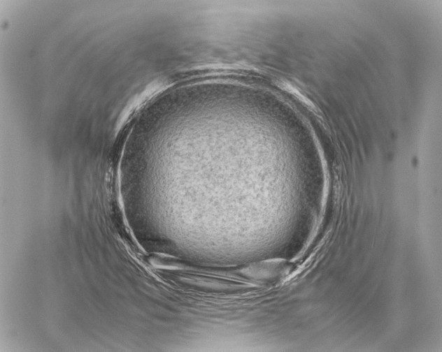 X0000059251357200511041323