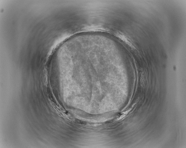 X0000059251358200511041323