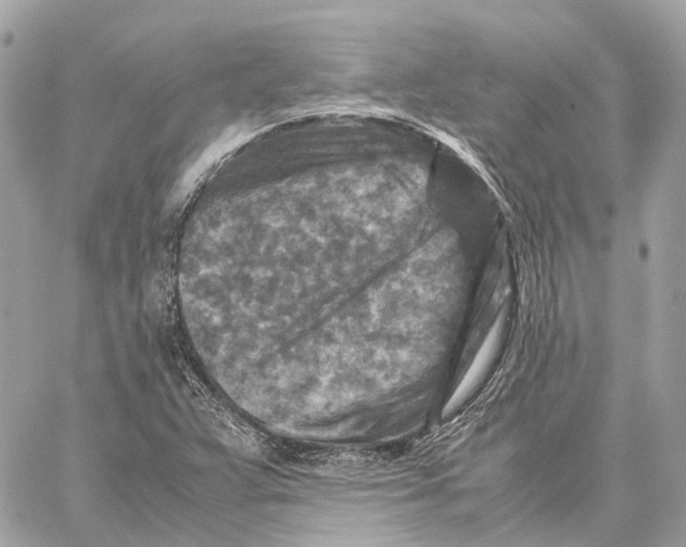 X0000059251359200511041323