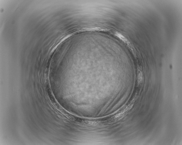 X0000059251361200511041323