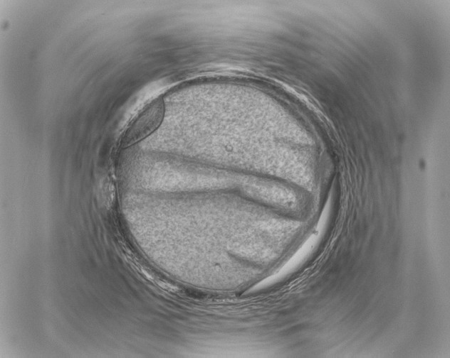 X0000059251363200511041323