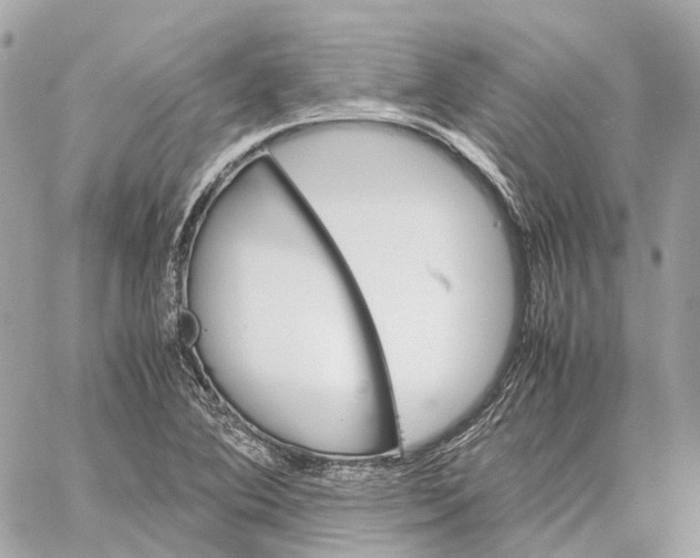 X0000059251364200511041323