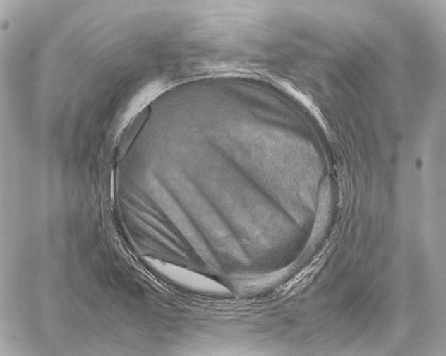 X0000059251365200511041323