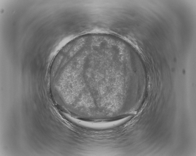 X0000059251367200511041323