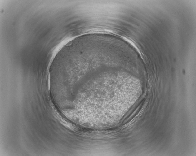 X0000059251371200511041323