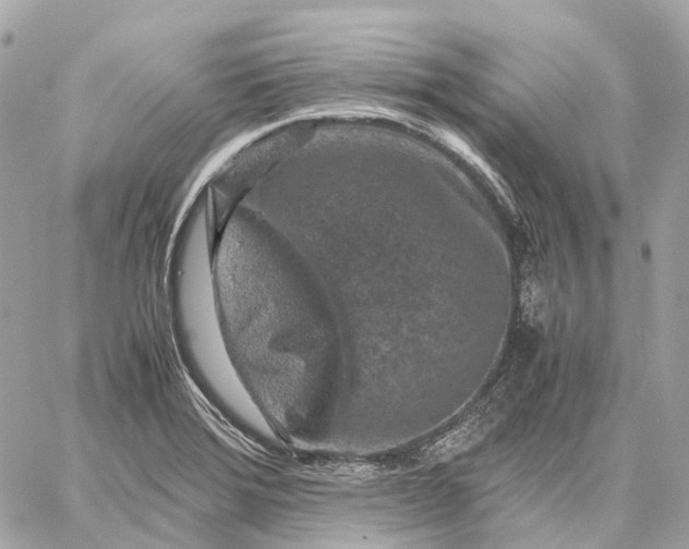 X0000059251372200511041323