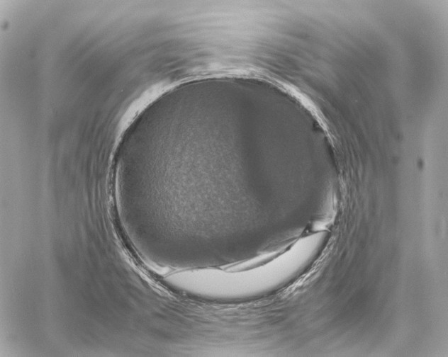 X0000059251373200511041323