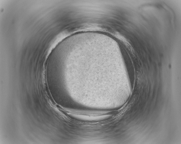 X0000059251374200511041323