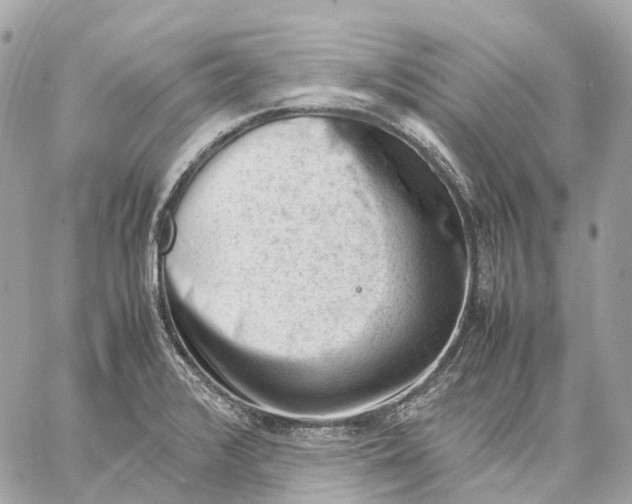 X0000059251376200511041322