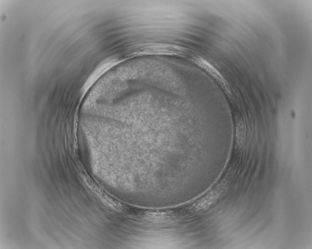 X0000059251378200511041322