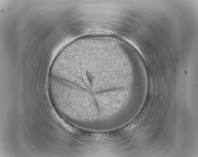 X0000059251379200511041322