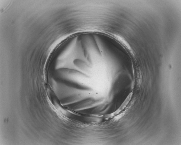 X0000059251380200511041322