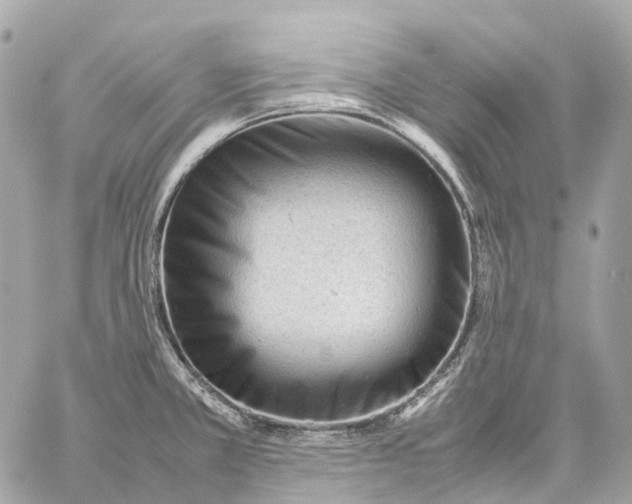 X0000059251381200511041322