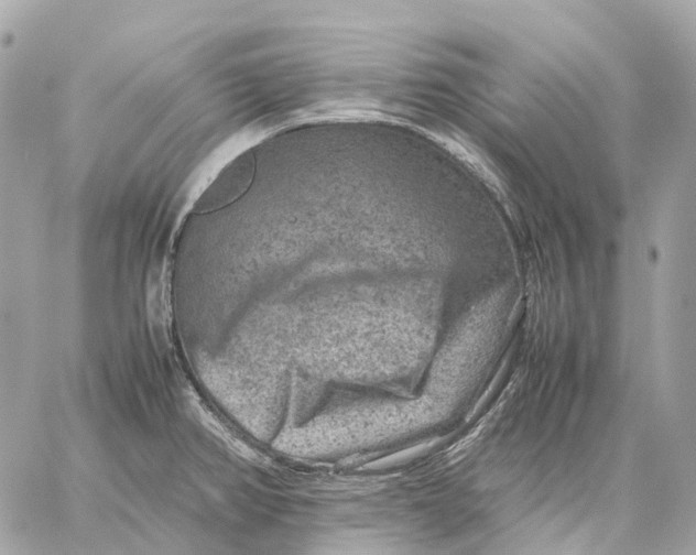 X0000059251382200511041322