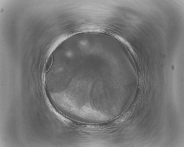 X0000059251383200511041322