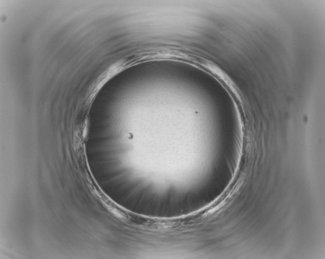 X0000059251385200511041322