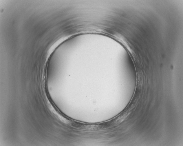 X0000059251387200511041322