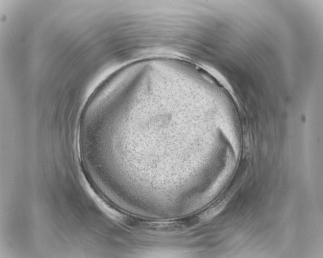 X0000059251391200511041322