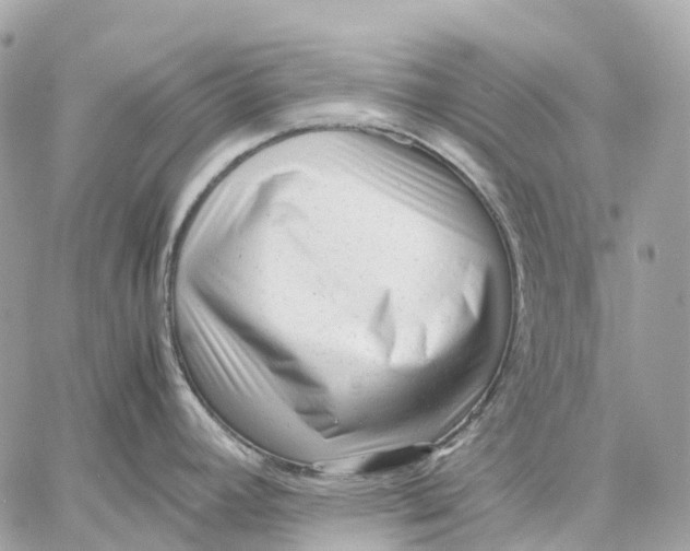 X0000059251392200511041322