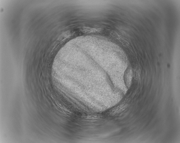 X0000059251393200511041321