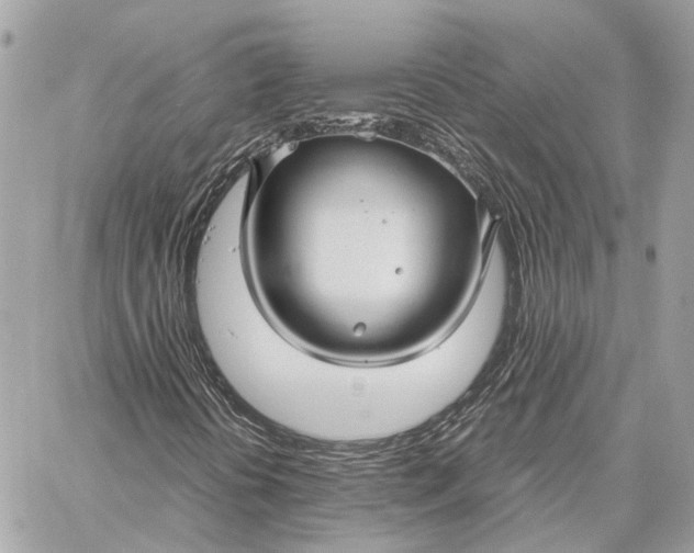 X0000059251394200511041321